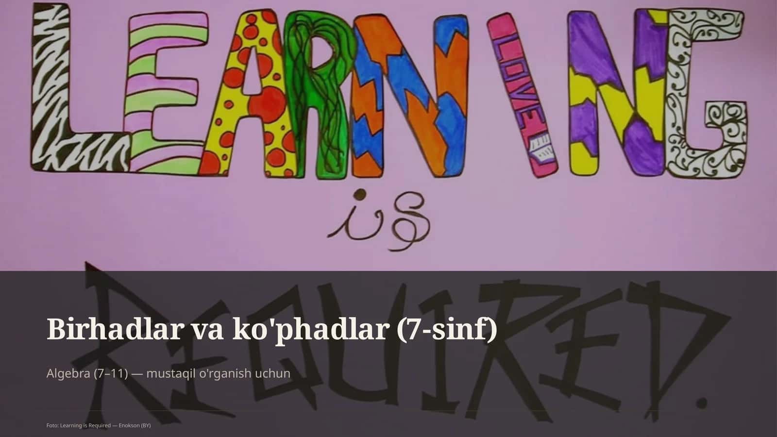 Birhadlar va ko'phadlar (7-sinf) 1