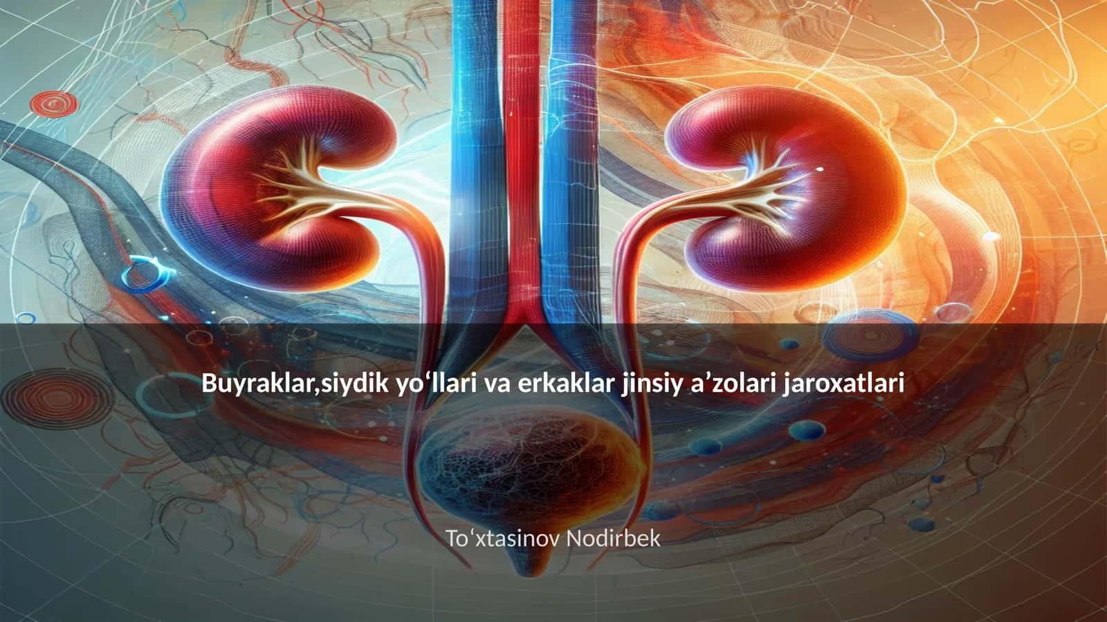 Buyraklar,siydik yoʻllari va erkaklar jinsiy aʼzolari jaroxatlari 1