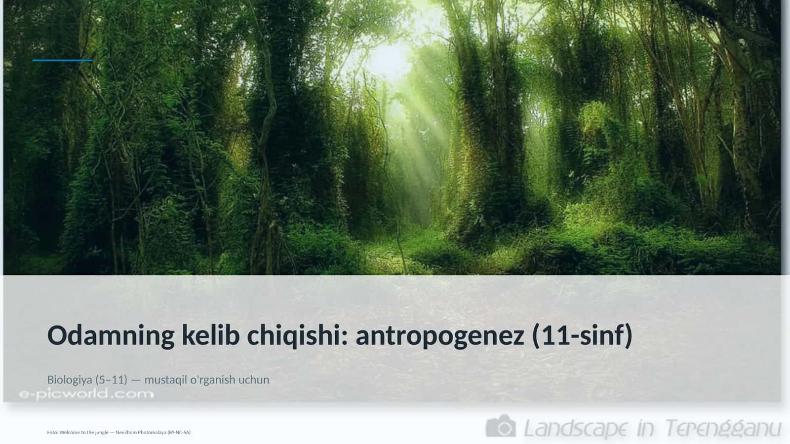 Odamning kelib chiqishi: antropogenez (11-sinf) 1