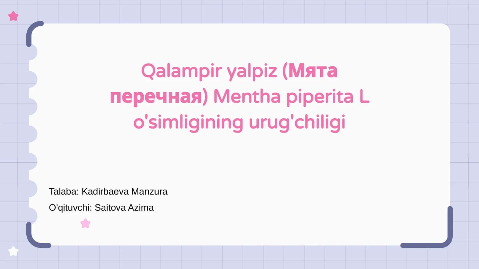 Qalampir yalpiz (Мята перечная) 1