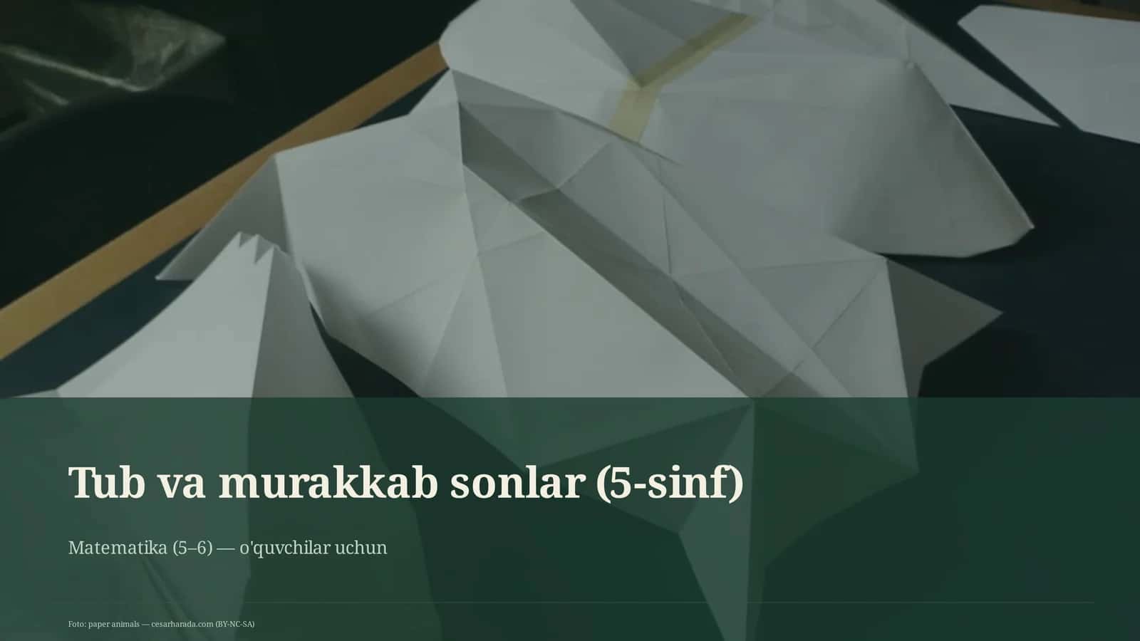 Tub va murakkab sonlar (5-sinf) 1
