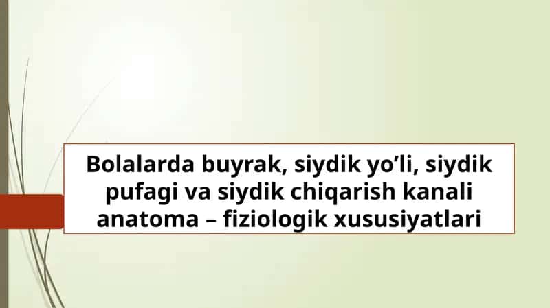 Bolalarda buyrak, siydik yo’li, siydik pufagi va siydik chiqarish kanali anatoma – fiziologik xususiyatlari 1