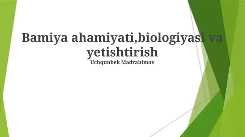 Okra yetishtirish 1