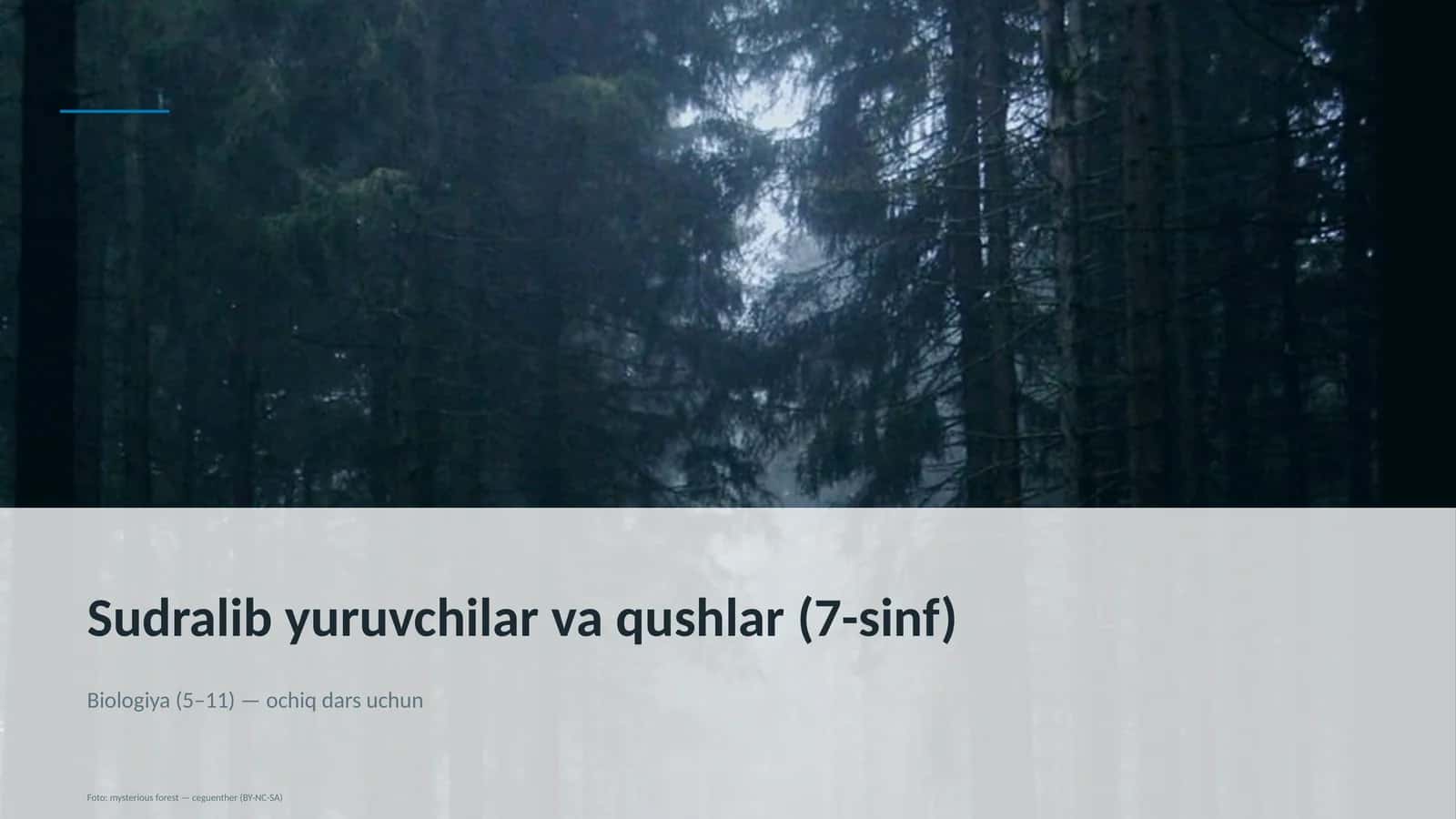 Sudralib yuruvchilar va qushlar (7-sinf) 1