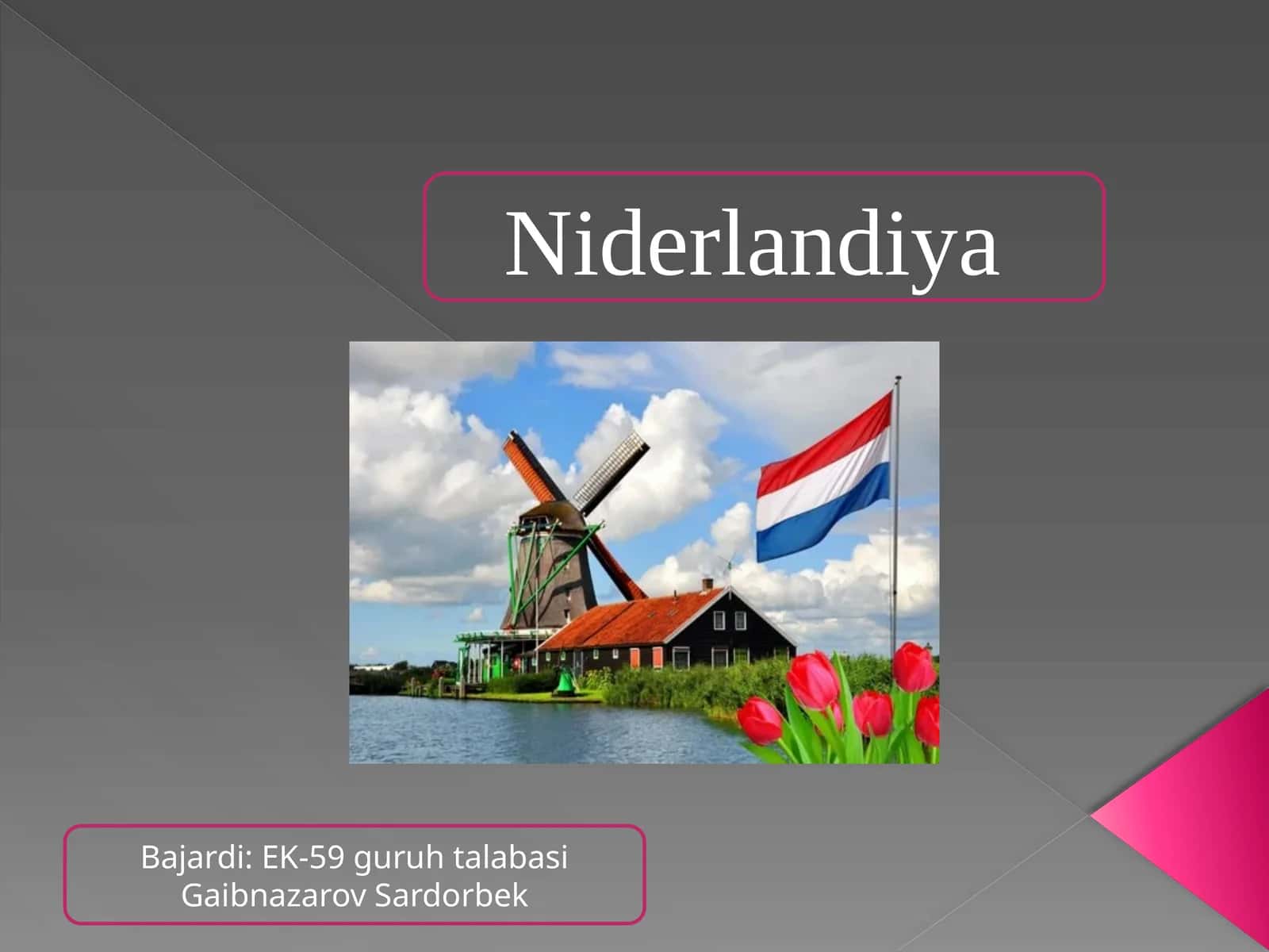 Niderlandiya 1