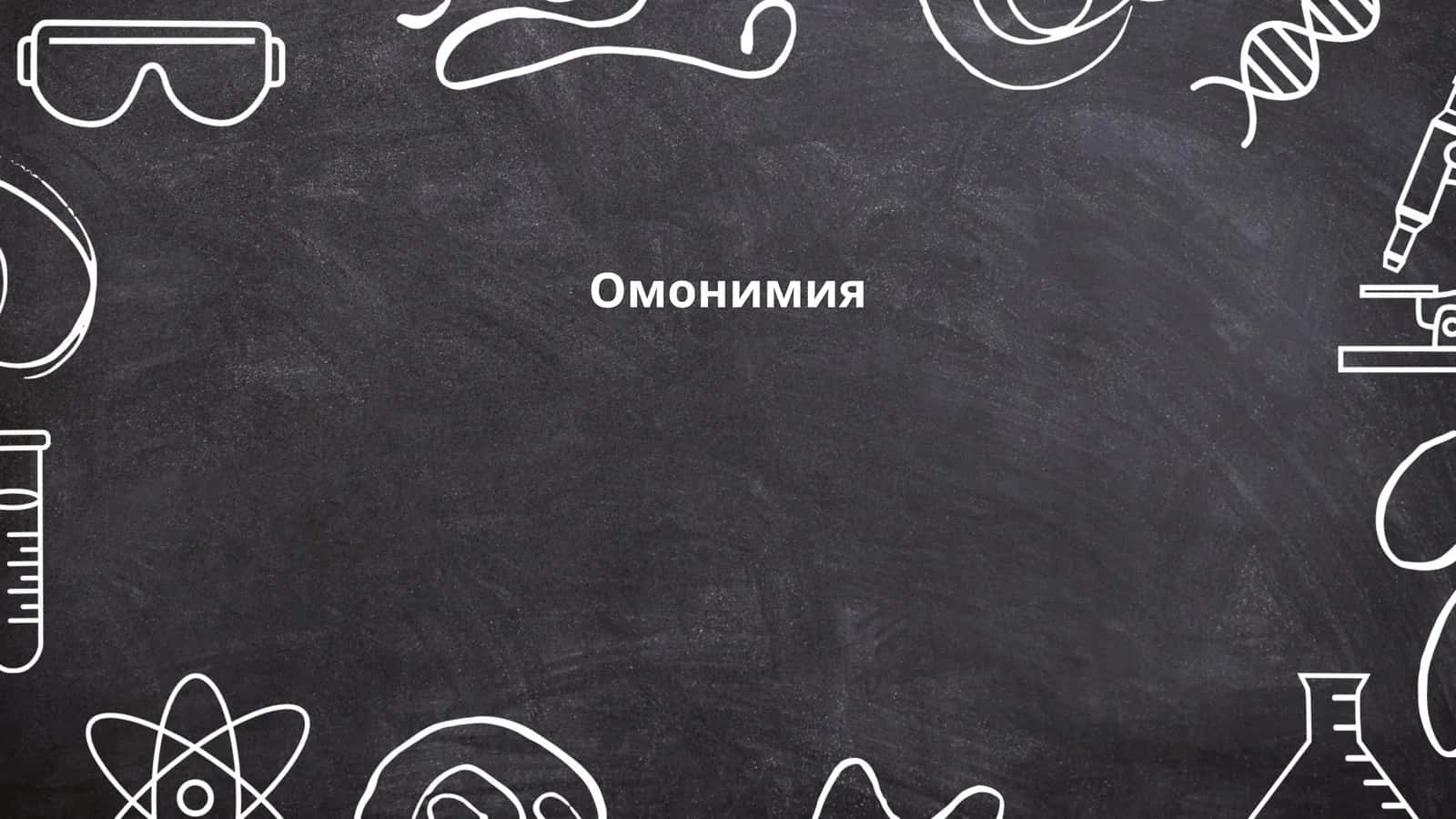Омонимия 1