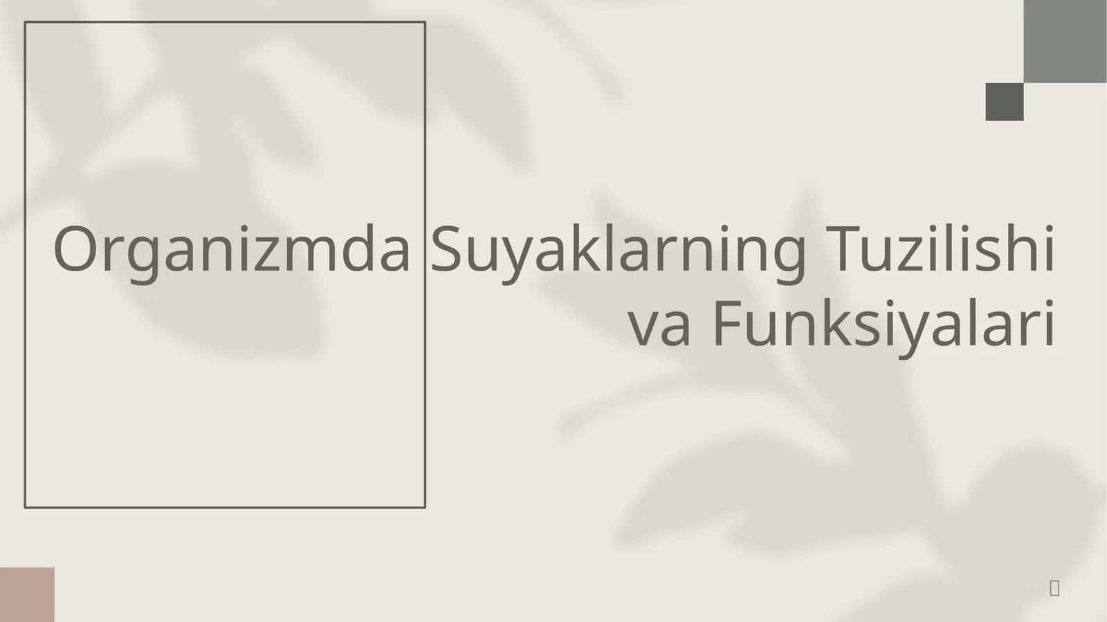 Organizmda Suyaklarning Tuzilishi va Funksiyalari 1