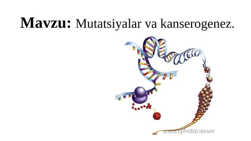 Mutatsiyalar va kanserogenez. 1