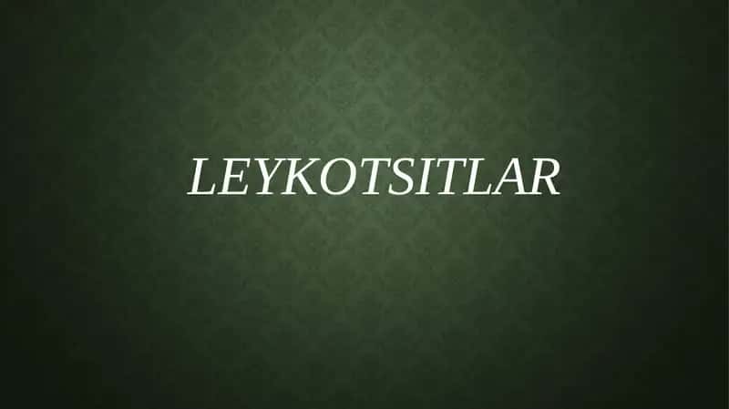 Leykotsitlar 1