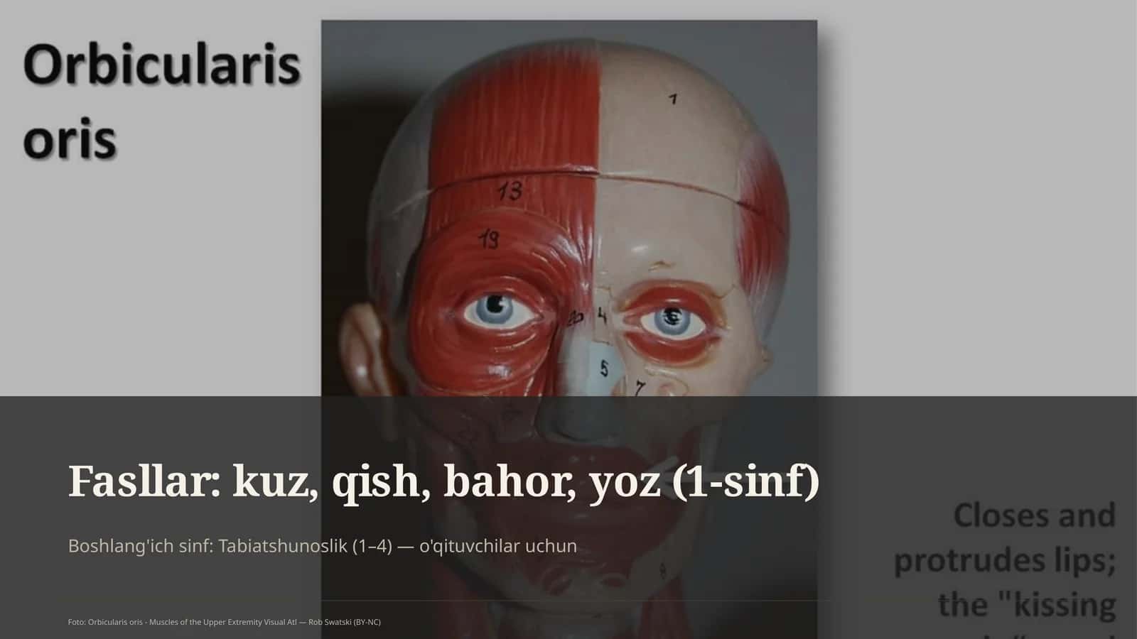 Tabiatshunoslik (1–4) Dars rejasi 1