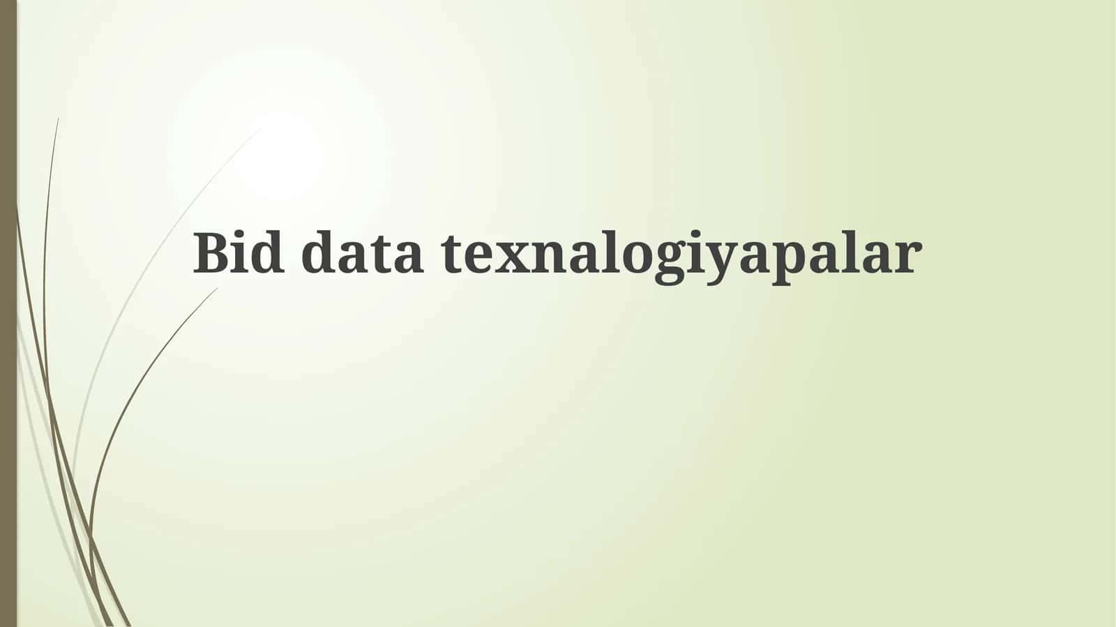 Bid datatexnalogiyapalar 1