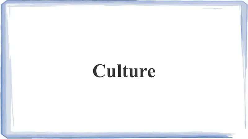 Culture 1