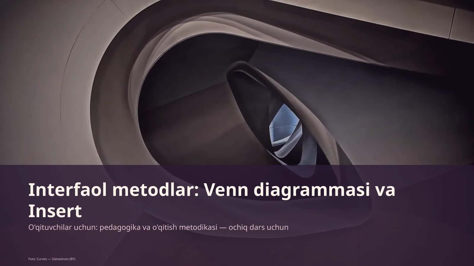Interfaol metodlar: Venn diagrammasi va Insert 1