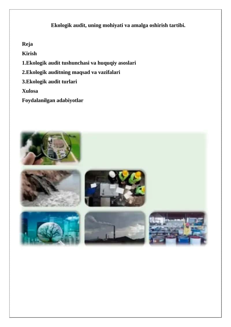 Ekologik audit 1