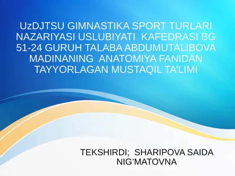 Kichik qon aylanish doirasi tomirlari gazal mashinuvi 1