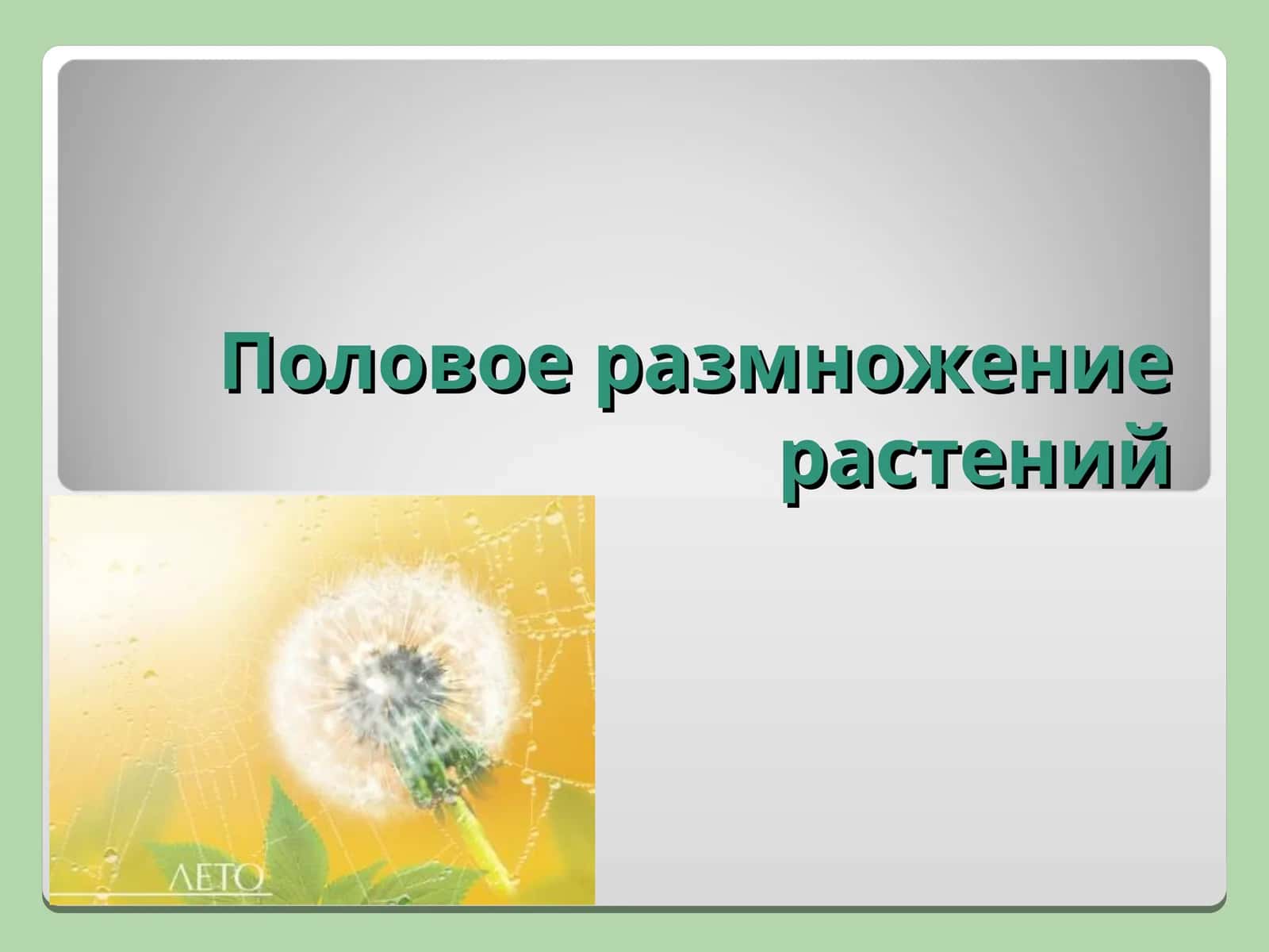 Половое размножение растений 1