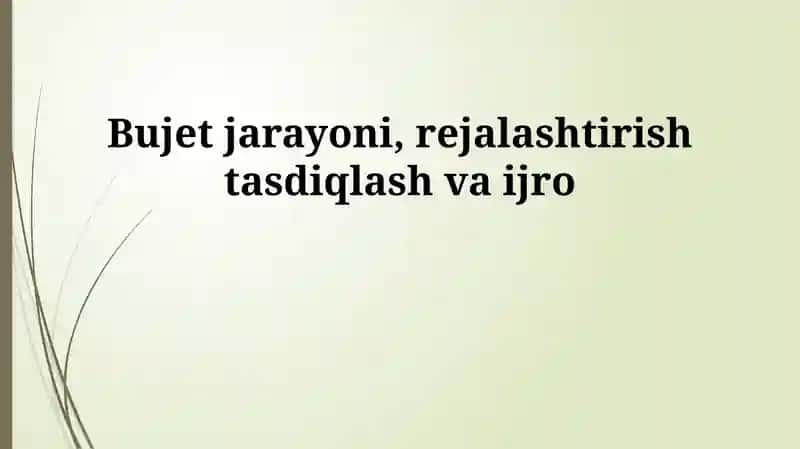 Byudjet jarayoni, rejalashtirish tasdiqlash va ijro