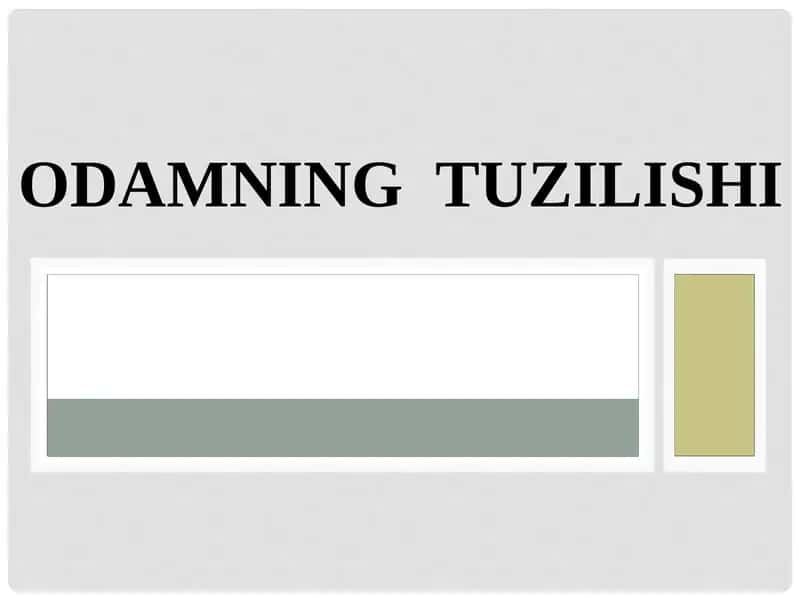 ODAMNING TUZILISHI 1