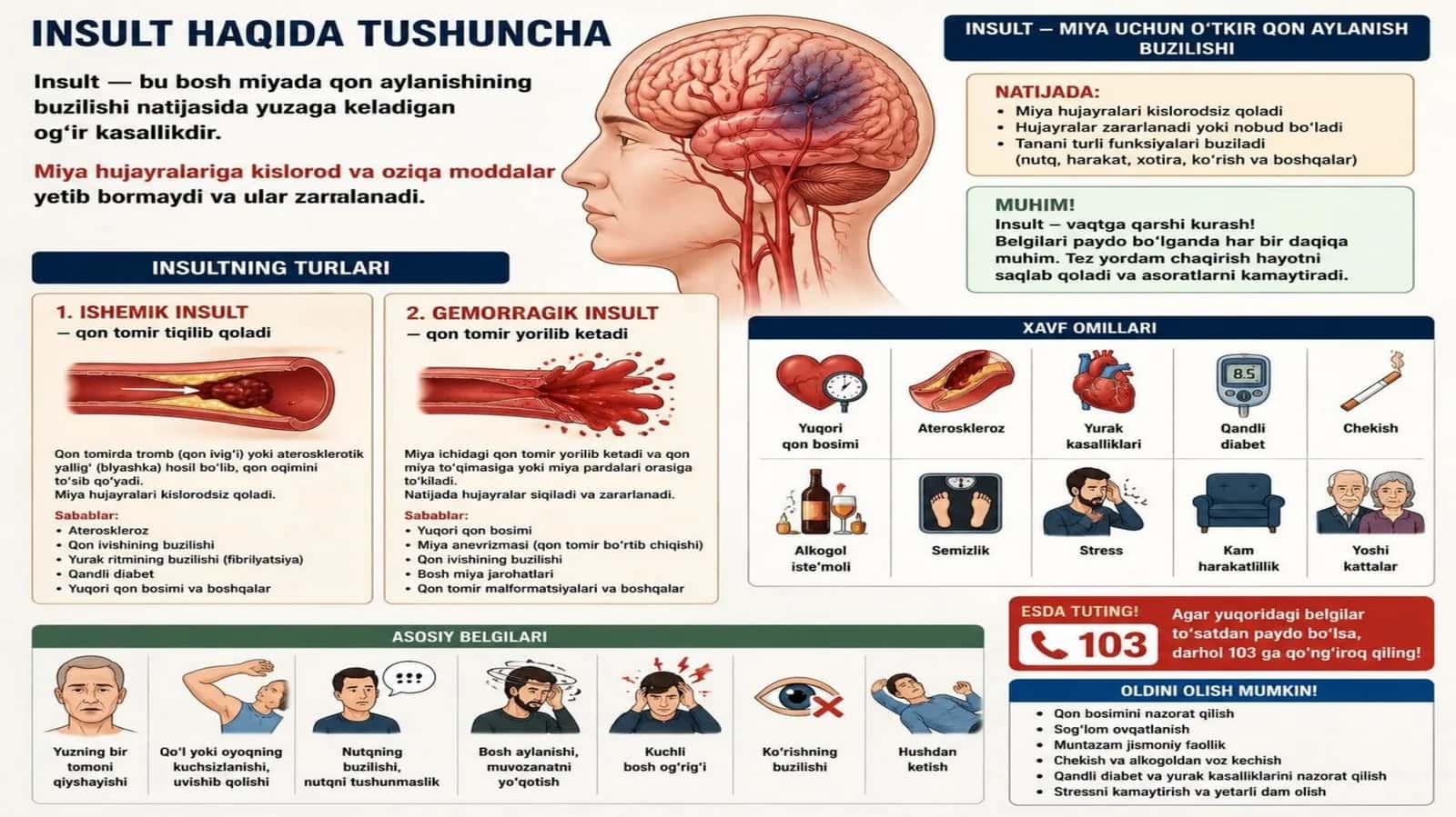 insult haqida tushuncha 1