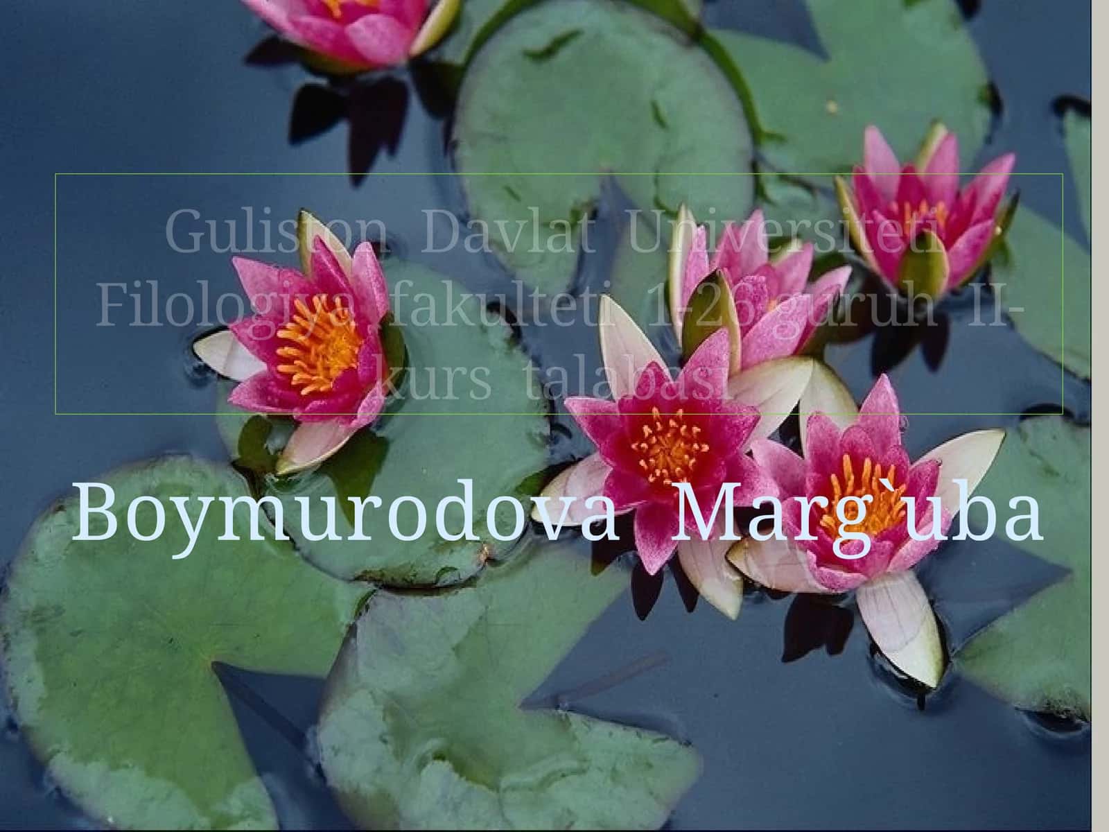 8-sinf Adabiyot Alisher Navoiy ruboiylar mavzuda dars taqdimot 1