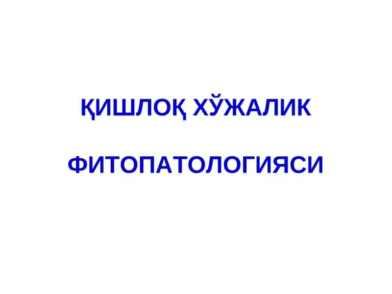 Данак Мевали Дарахтлар 1