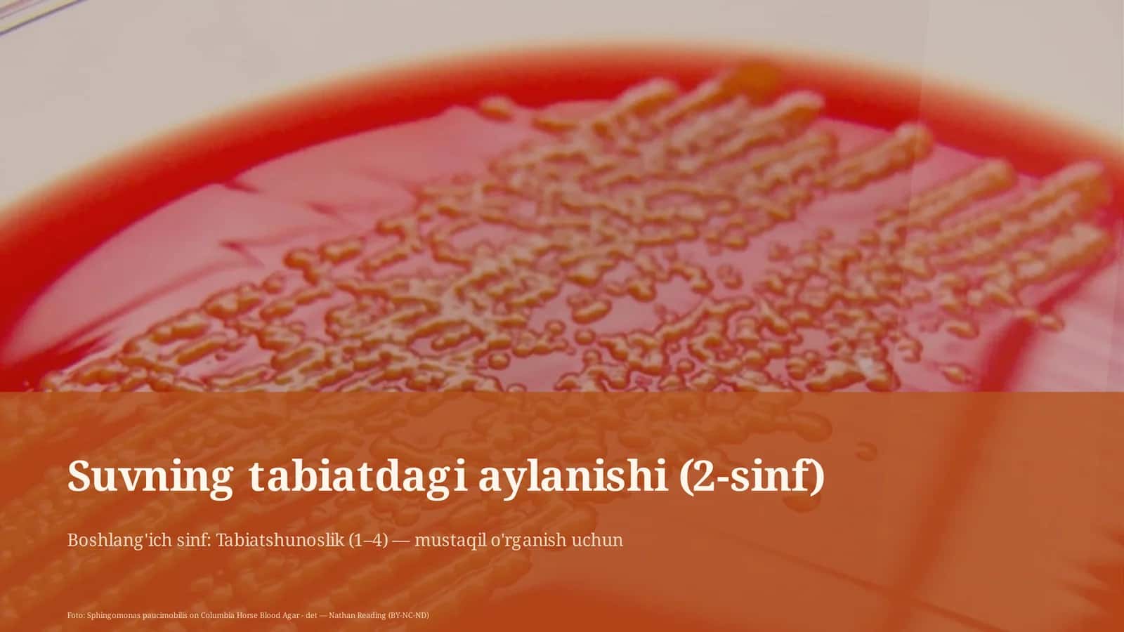 Suvning tabiatdagi aylanishi (2-sinf) 1