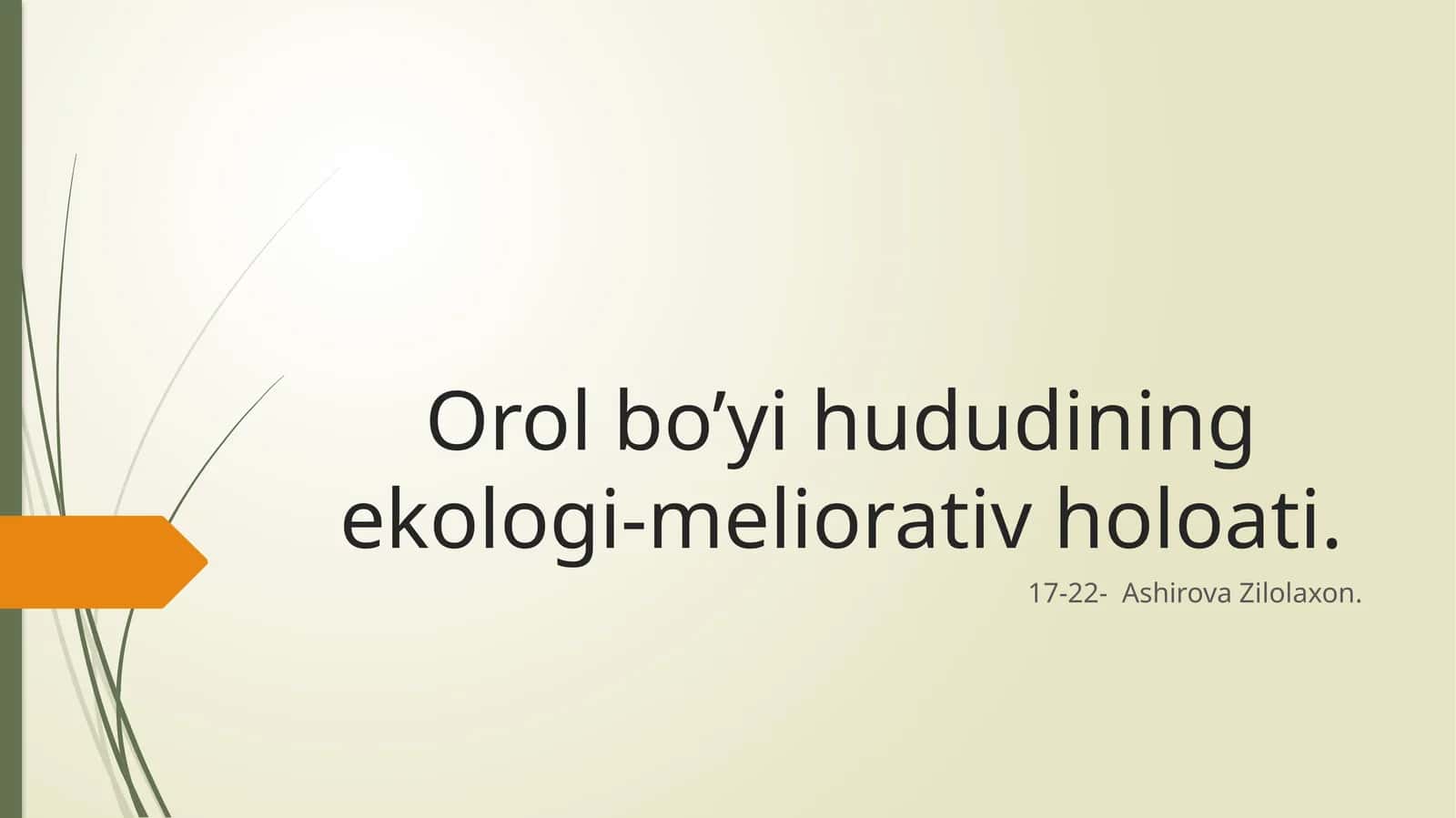 Orol bo’yi hududining ekologi-meliorativ holoati 1