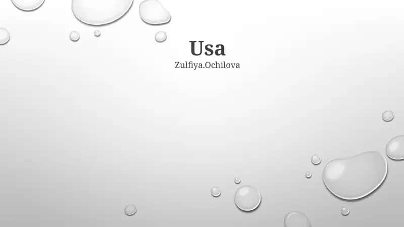 Historical Milestones in the USA 1