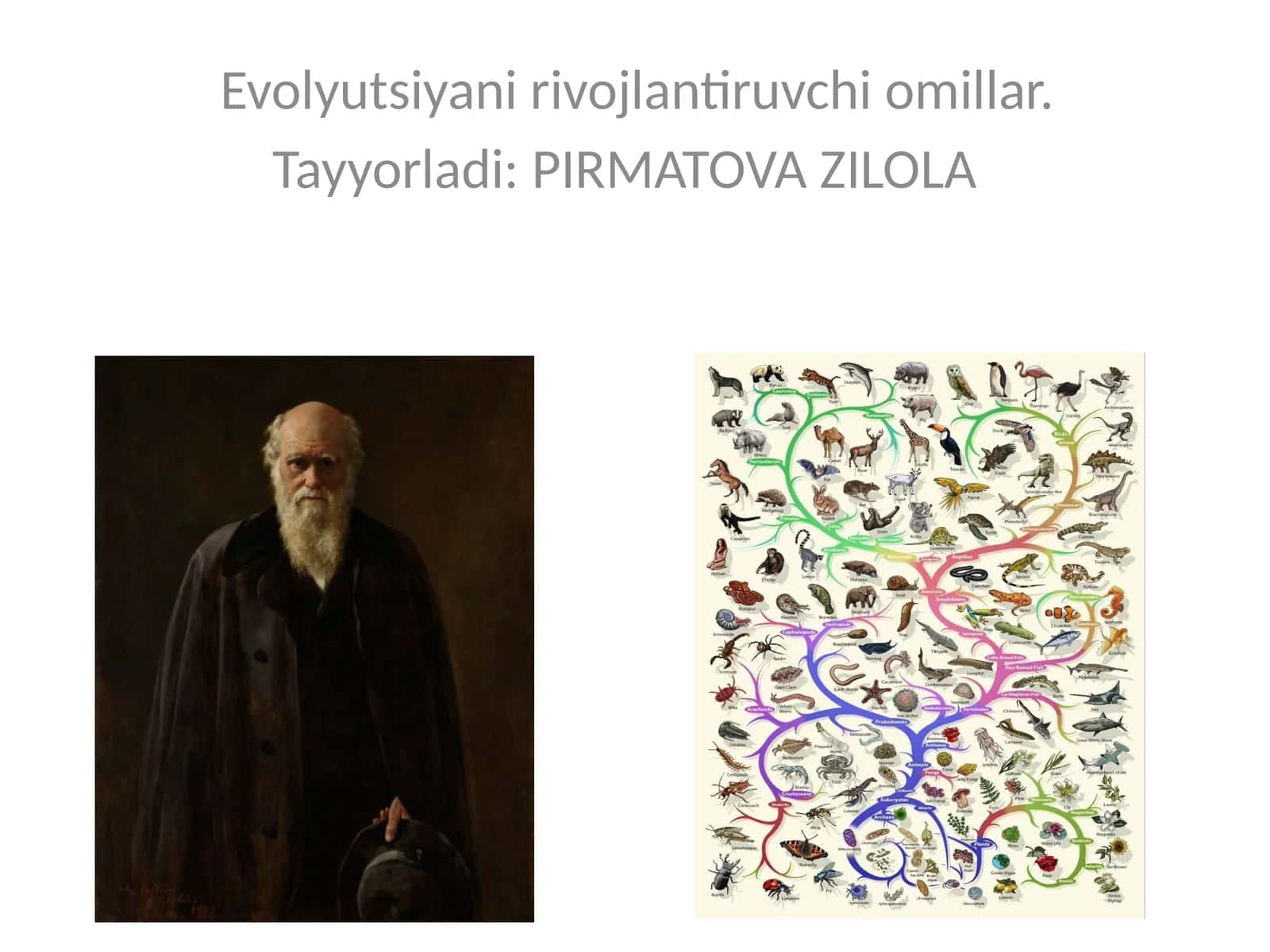 Evolyutsiyani rivojlantiruvchi omillar 1