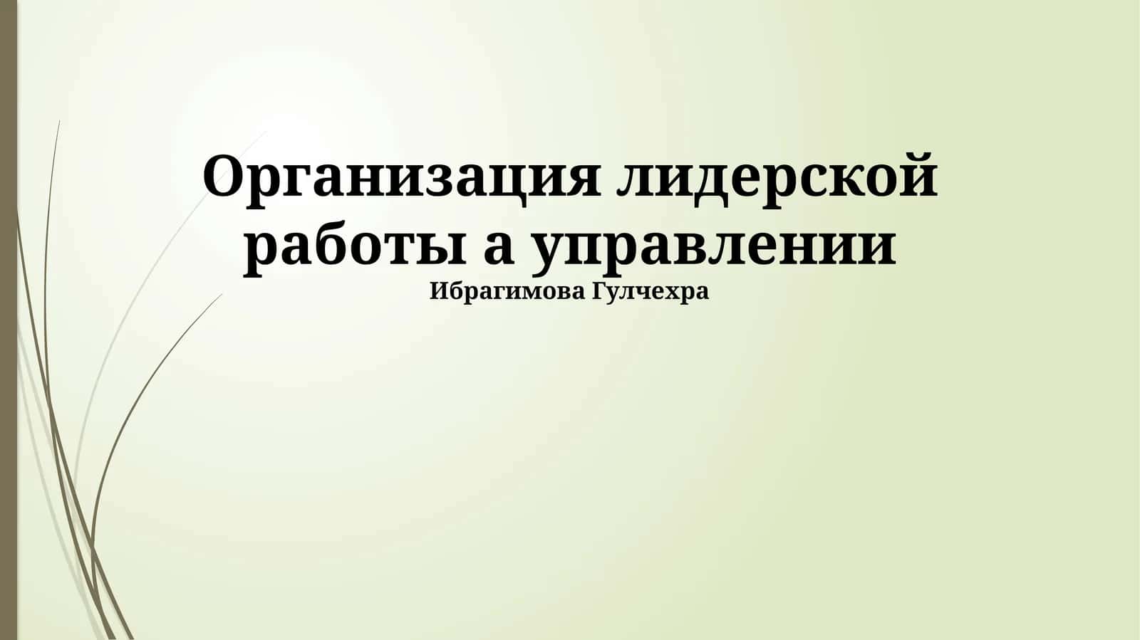 Организация лидерской работы а управлении 1