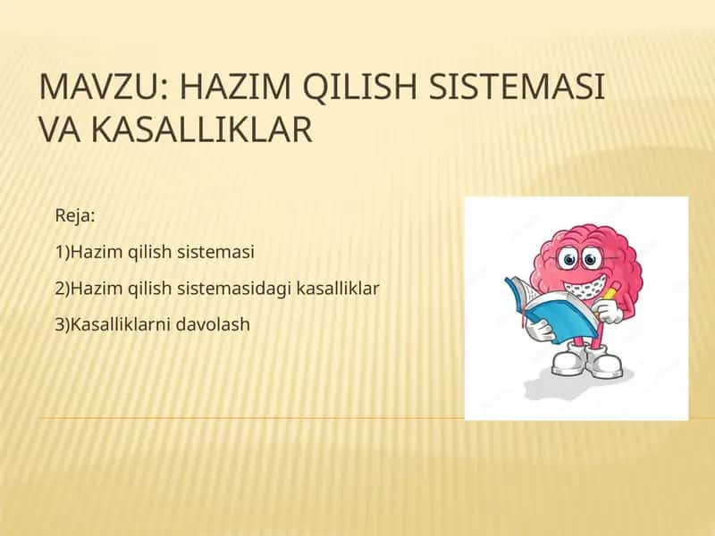 Hazimqilish Sistema 1