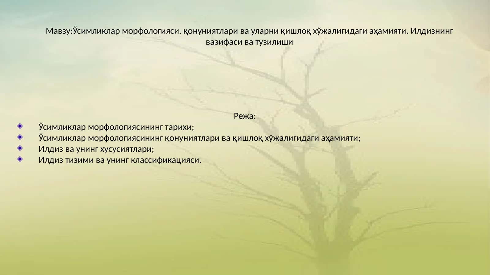 Ўсимликлар морфологияси, қонуниятлари ва уларни қишлоқ хўжалигидаги аҳамияти. Илдизнинг вазифаси ва тузилиши 1