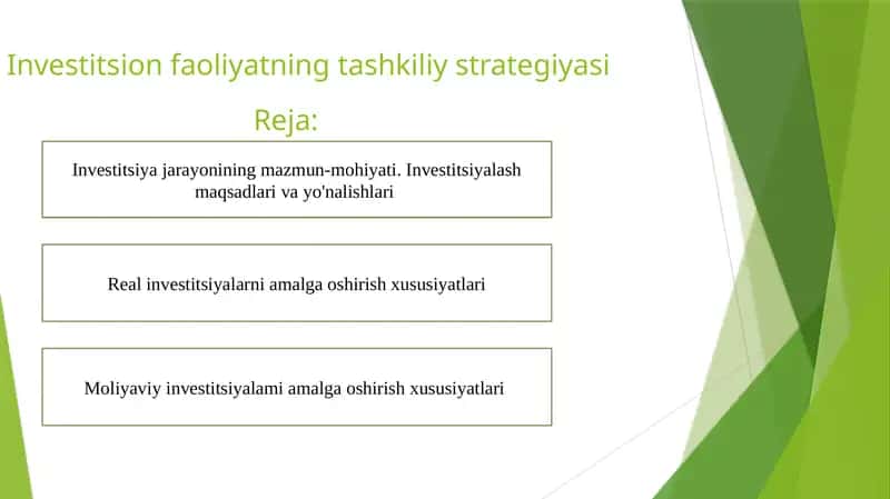 Investitsion faoliyatning tashkiliy strategiyasiReja 1