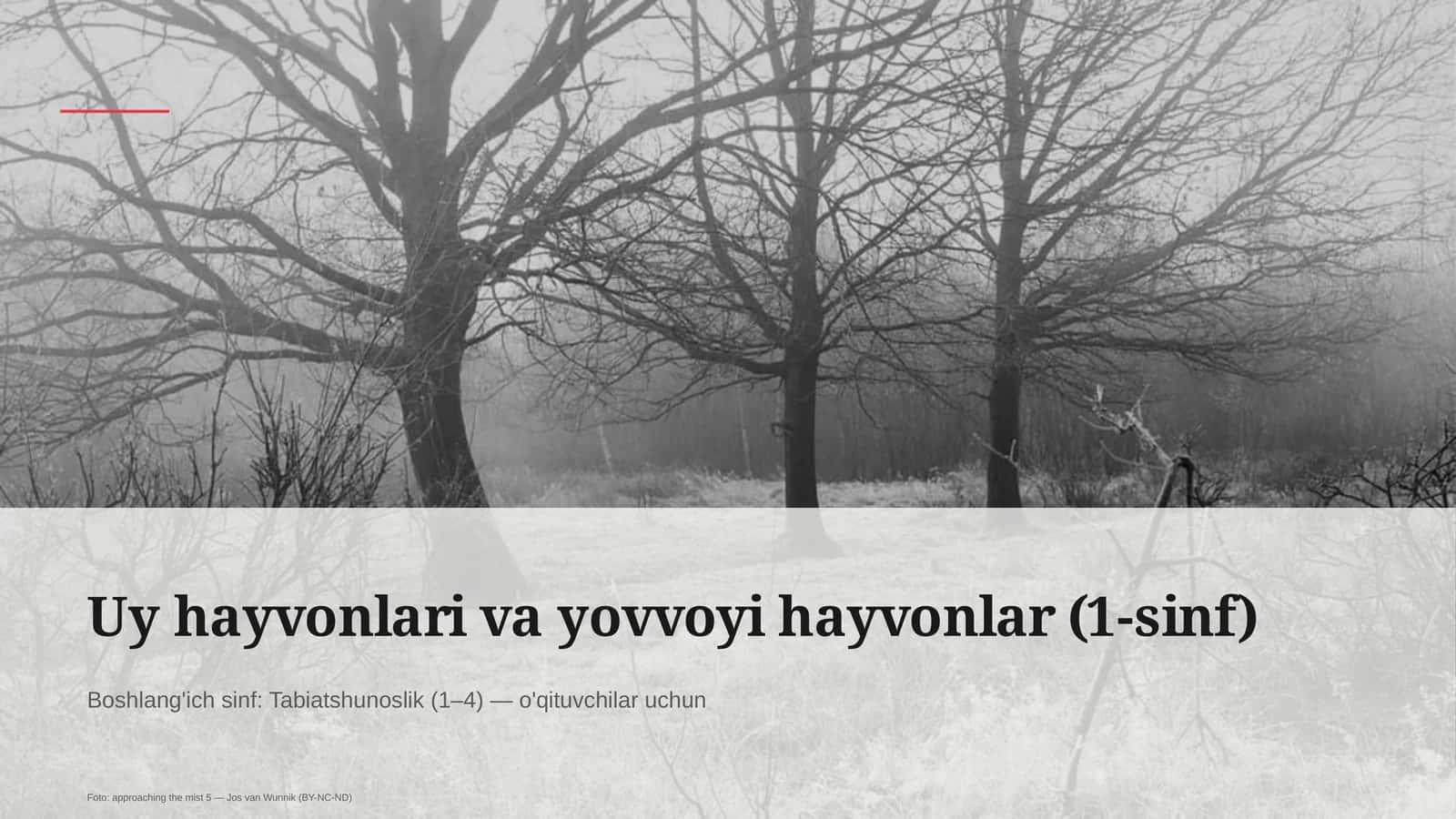 Uy hayvonlari va yovvoyi hayvonlar (1-sinf) 1