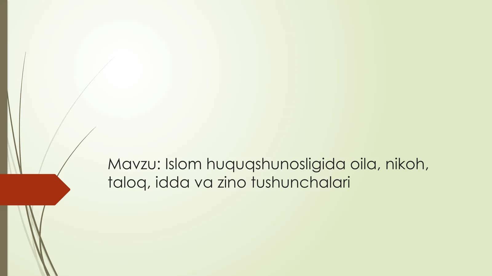 Islom huquqshunosligida oila, nikoh, taloq, idda va zino tushunchalari 1