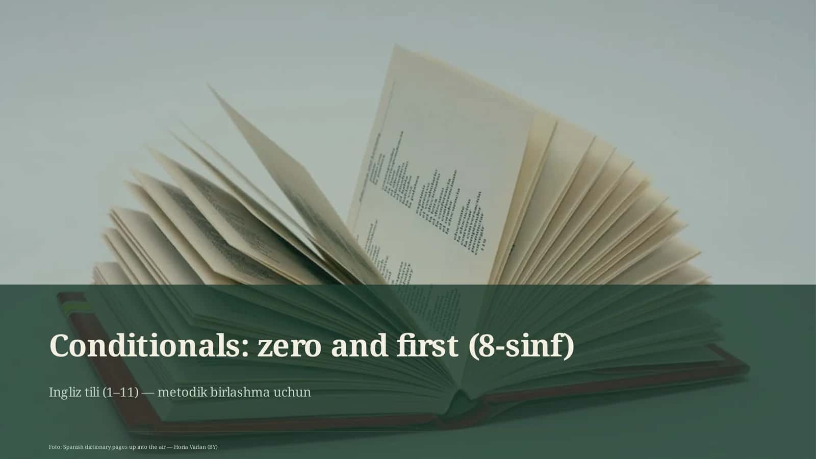 Conditionals: zero and first (8-sinf) 1