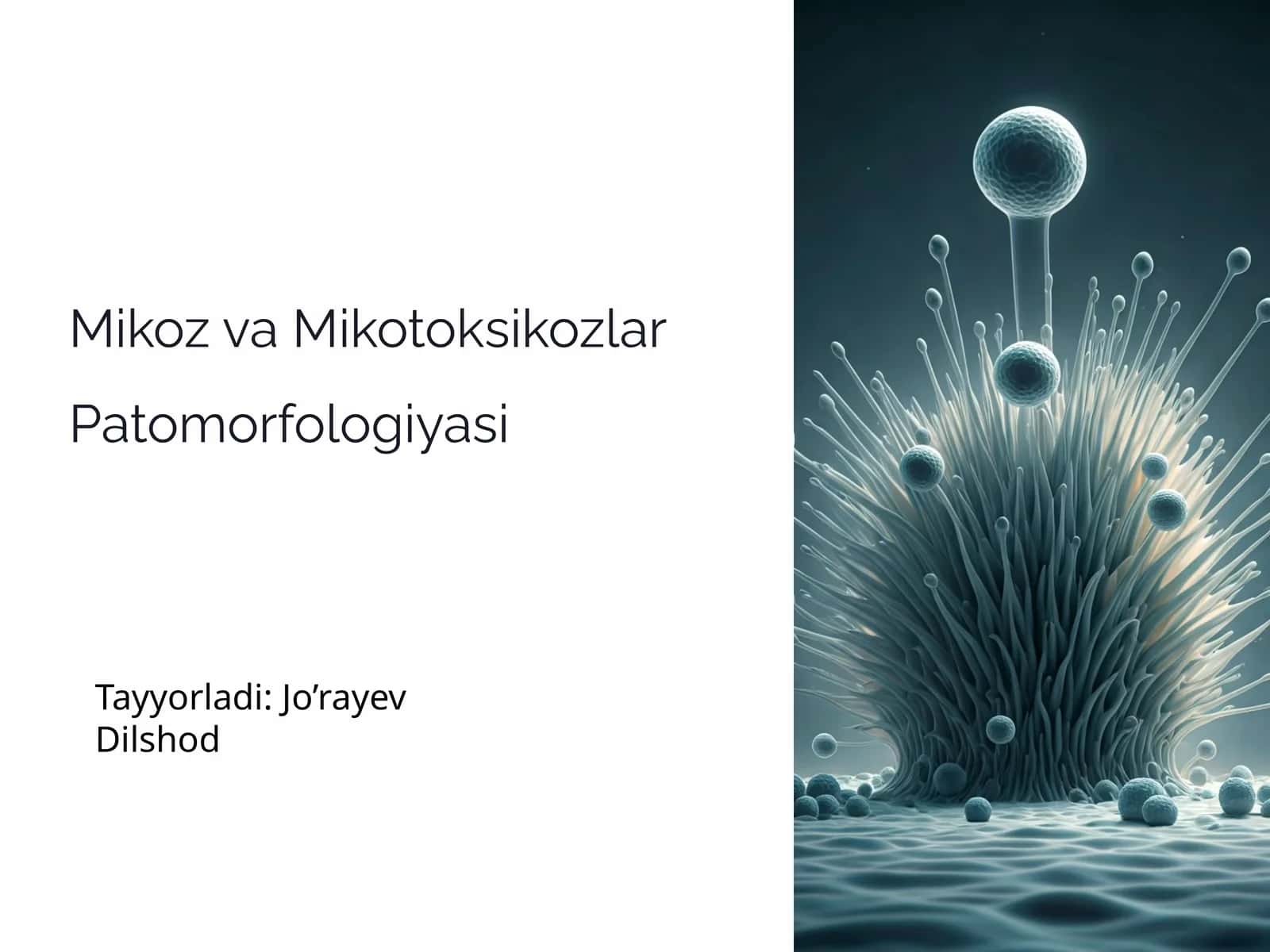 Mikoz va Mikotoksikozlar Patomorfologiyasi 1