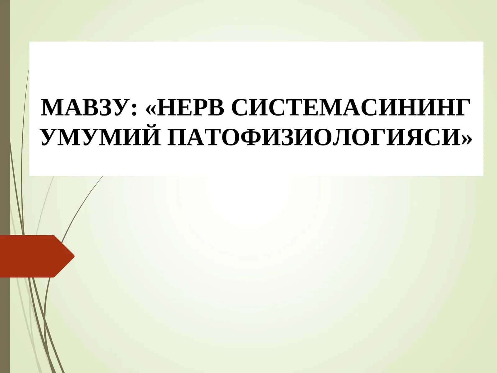 «НЕРВ СИСТЕМАСИНИНГ УМУМИЙ ПАТОФИЗИОЛОГИЯСИ» 1