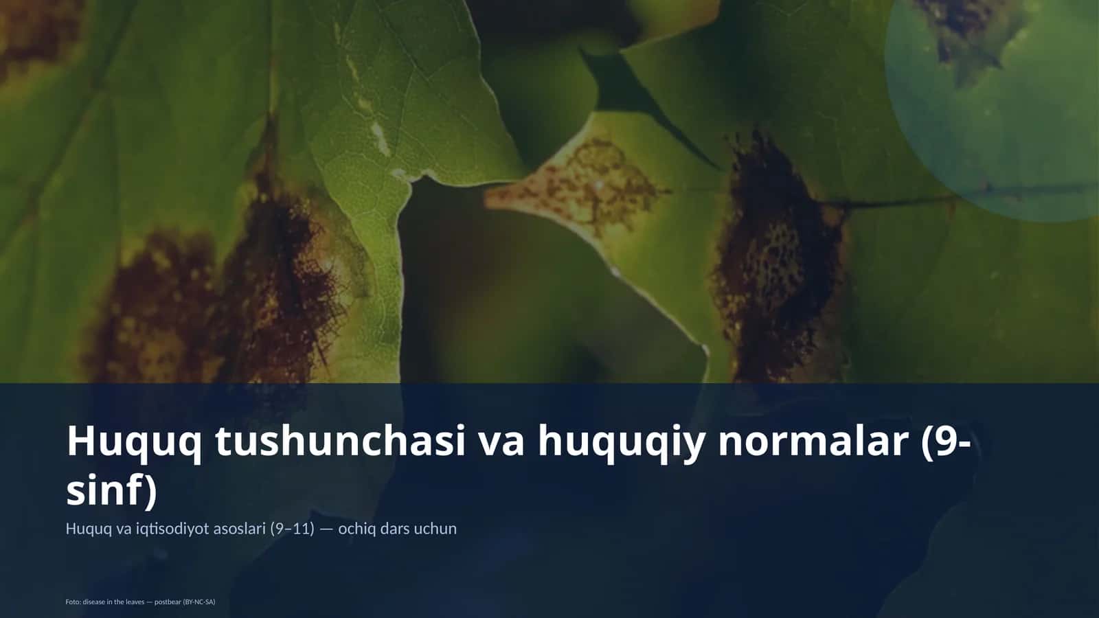Huquq tushunchasi va huquqiy normalar (9-sinf) 1