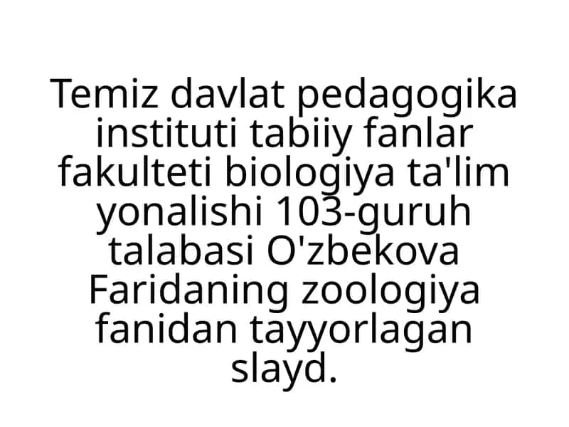 Gnatiferalar(Gnathifera) kattatipining umumiy tavsifi 1