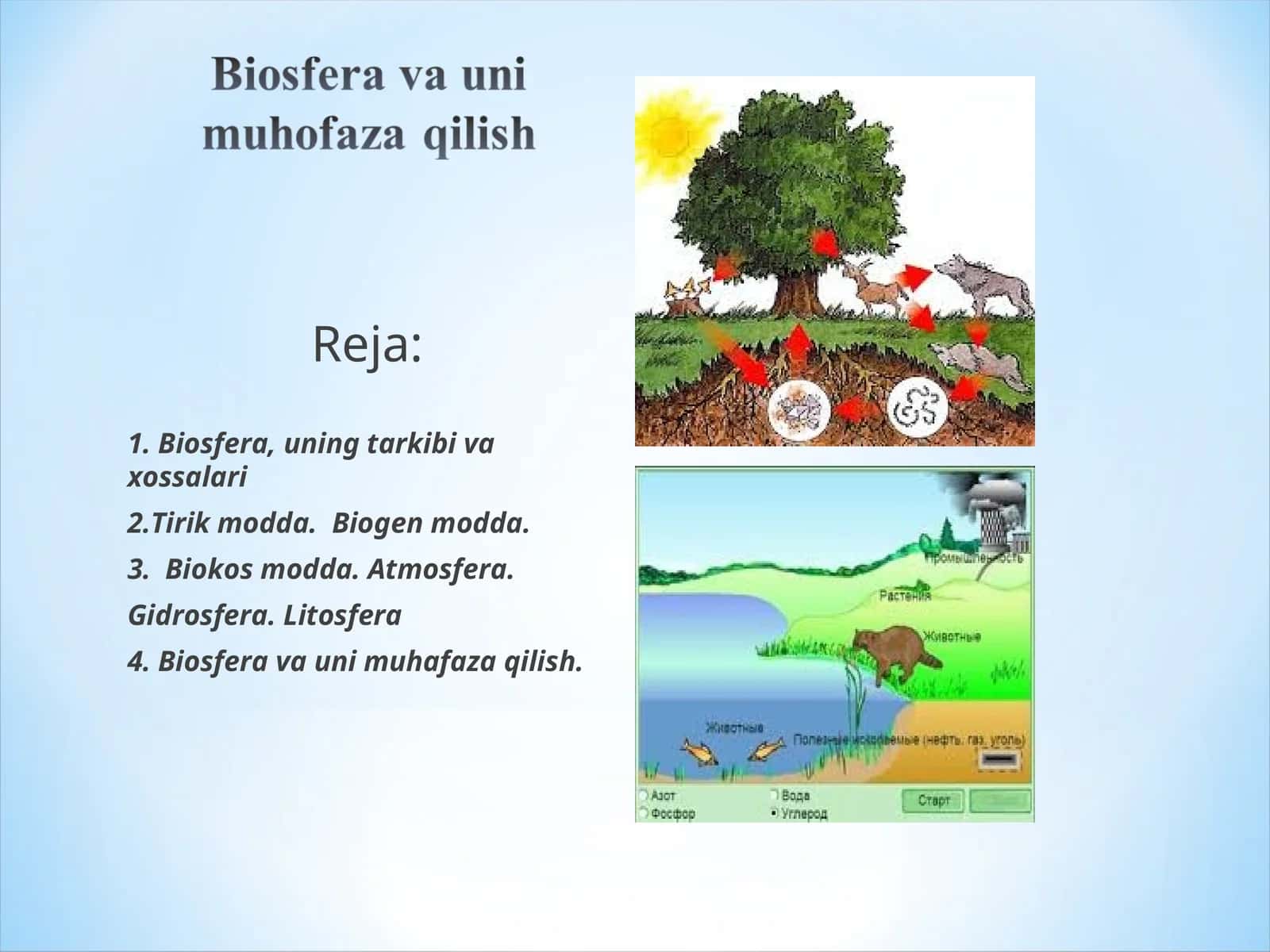 Biosfera, uning tarkibi va xossalari 1