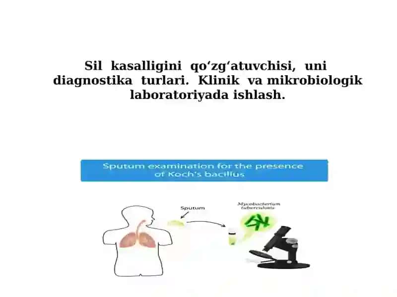 Sil kasalligini qo‘zg‘atuvchisi