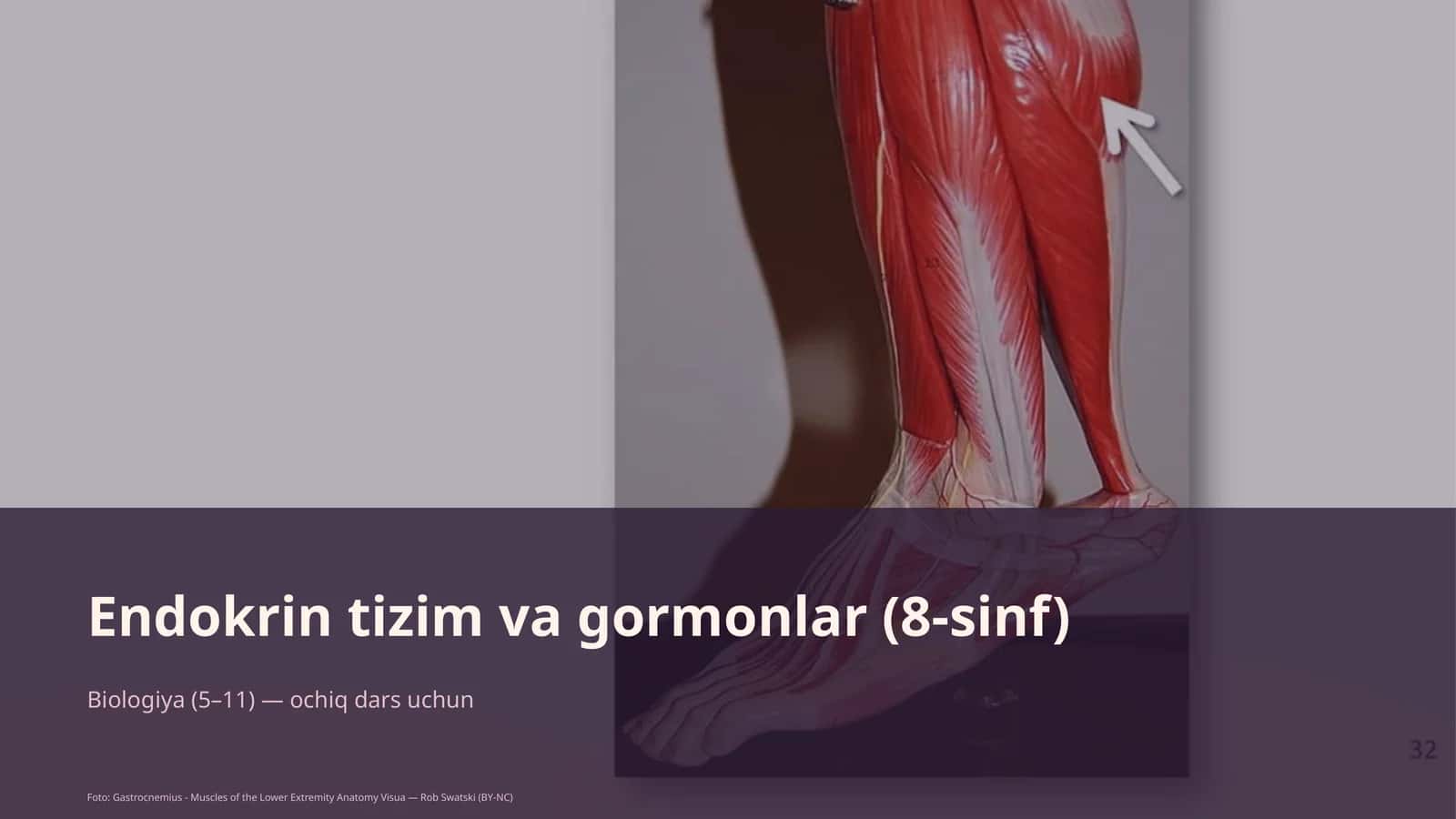 Endokrin tizim va gormonlar (8-sinf) 1