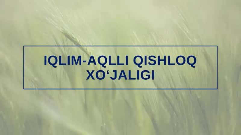Iqlim-aqlli qishloq xo‘jaligi 1