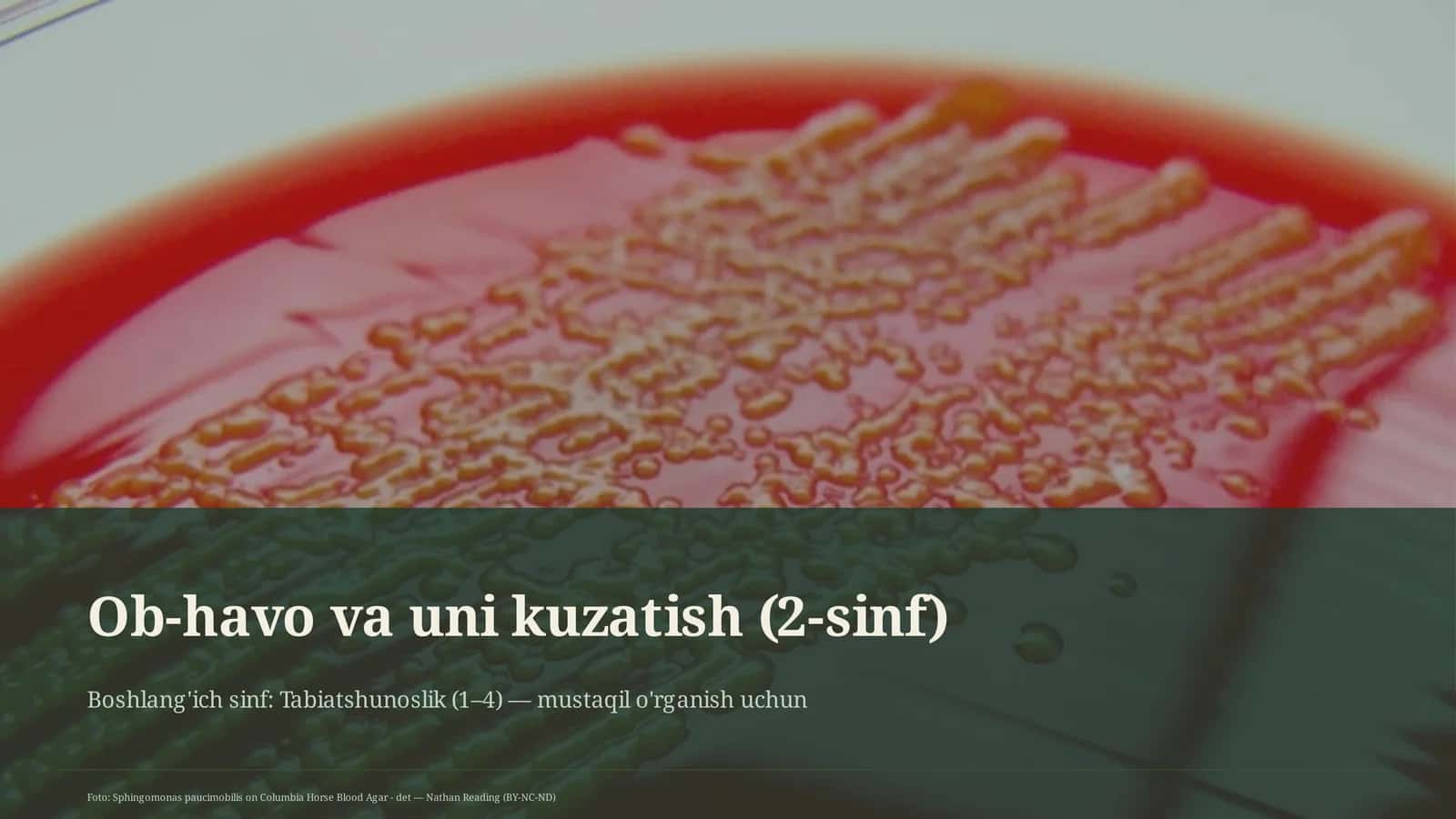 Ob-havo va uni kuzatish (2-sinf) 1