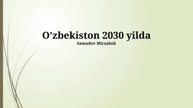 O'zbekiston 2030 yilda 1