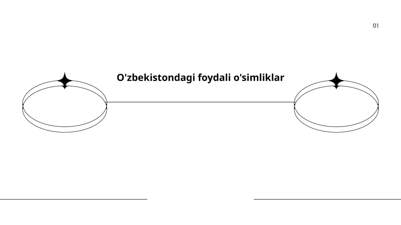 Gingko Biloba 1