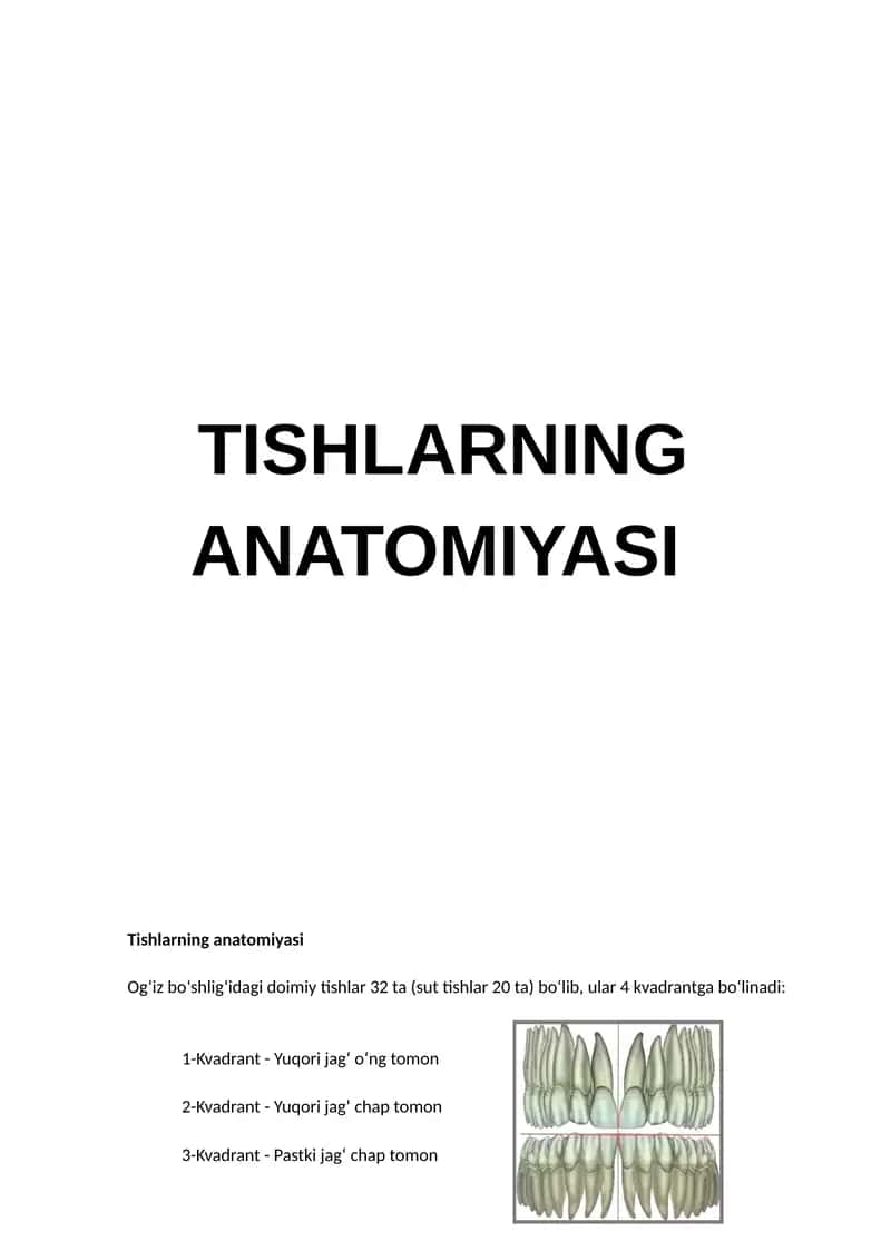Tishlarning Anatomiyasi 1