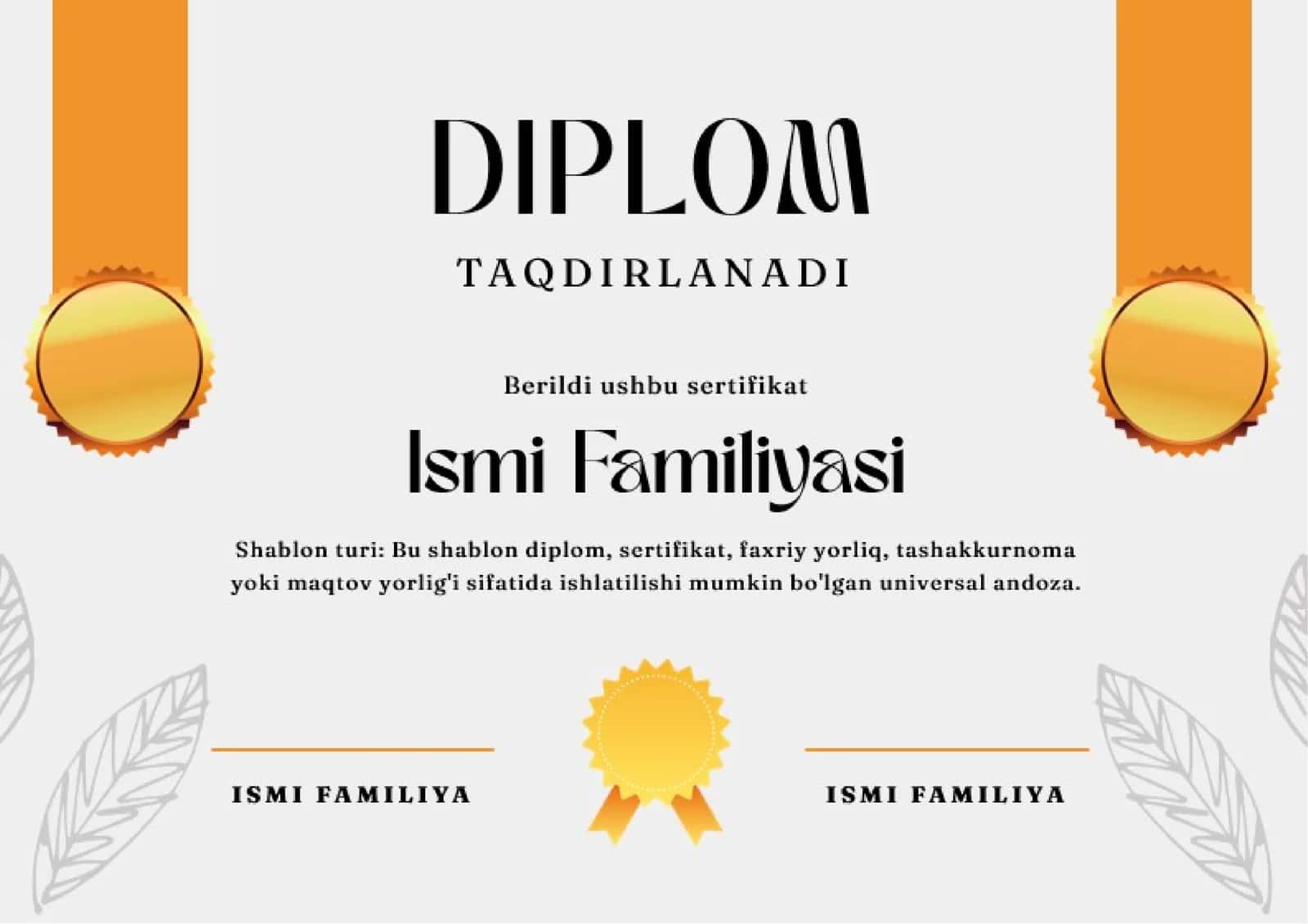 DIPLOM 1