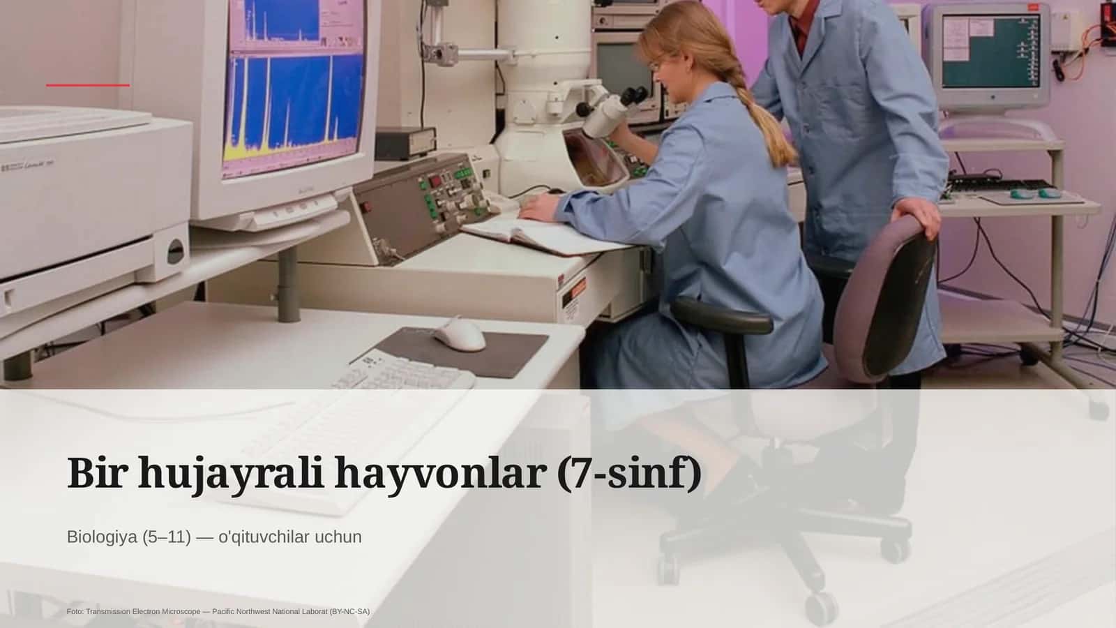 Bir hujayrali hayvonlar (7-sinf) 1